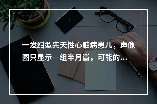 一发绀型先天性心脏病患儿，声像图只显示一组半月瓣，可能的诊断