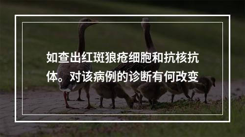 如查出红斑狼疮细胞和抗核抗体。对该病例的诊断有何改变