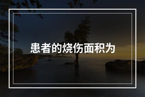 患者的烧伤面积为