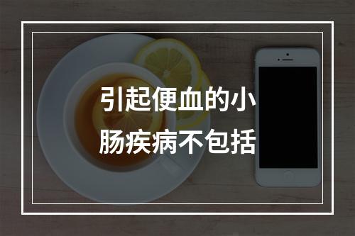 引起便血的小肠疾病不包括