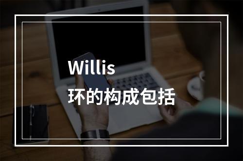 Willis环的构成包括