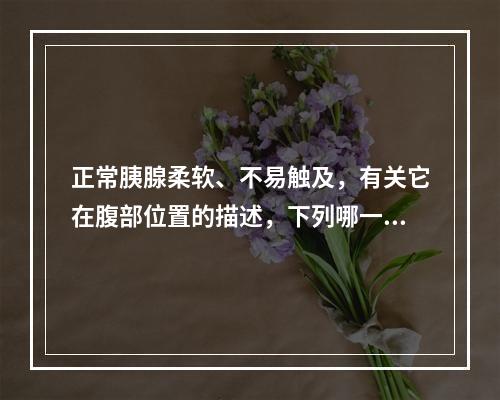 正常胰腺柔软、不易触及，有关它在腹部位置的描述，下列哪一项不