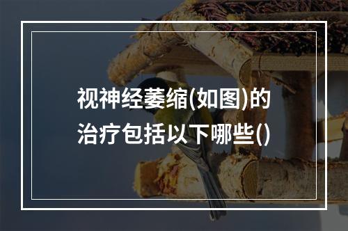 视神经萎缩(如图)的治疗包括以下哪些()