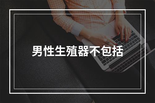 男性生殖器不包括