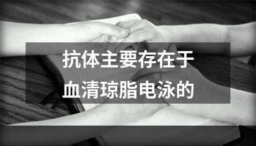 抗体主要存在于血清琼脂电泳的