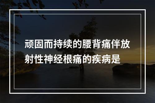 顽固而持续的腰背痛伴放射性神经根痛的疾病是