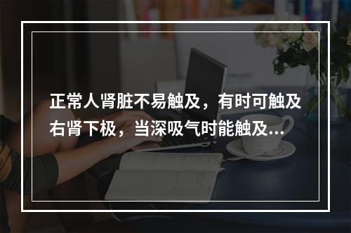 正常人肾脏不易触及，有时可触及右肾下极，当深吸气时能触及1/