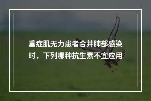 重症肌无力患者合并肺部感染时，下列哪种抗生素不宜应用