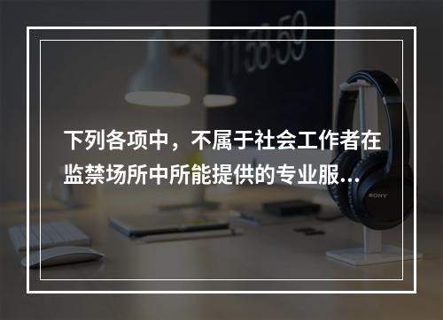 下列各项中，不属于社会工作者在监禁场所中所能提供的专业服务的