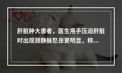 肝脏肿大患者，医生用手压迫肝脏时出现颈静脉怒张更明显，称为肝