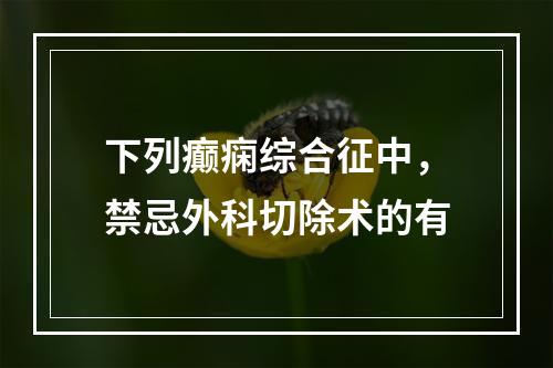 下列癫痫综合征中，禁忌外科切除术的有