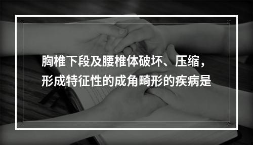 胸椎下段及腰椎体破坏、压缩，形成特征性的成角畸形的疾病是