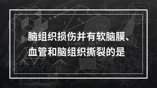 脑组织损伤并有软脑膜、血管和脑组织撕裂的是