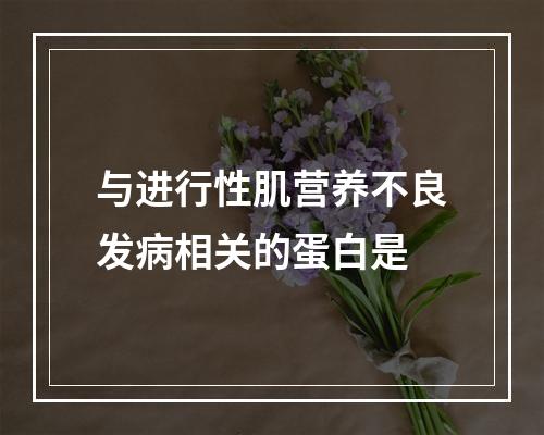 与进行性肌营养不良发病相关的蛋白是