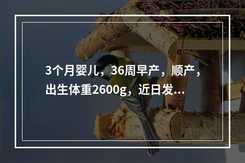 3个月婴儿，36周早产，顺产，出生体重2600g，近日发现右