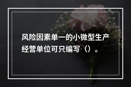 风险因素单一的小微型生产经营单位可只编写（）。