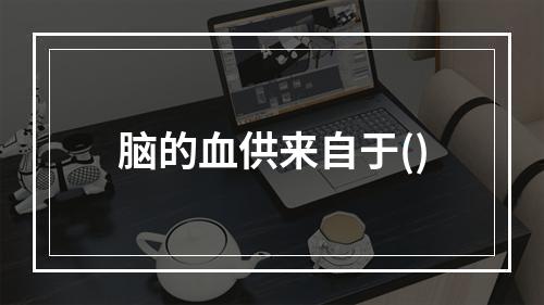 脑的血供来自于()