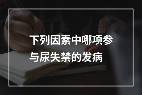 下列因素中哪项参与尿失禁的发病