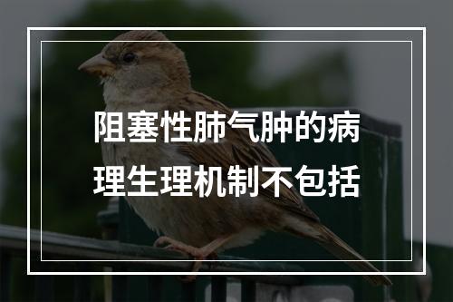 阻塞性肺气肿的病理生理机制不包括