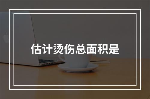 估计烫伤总面积是