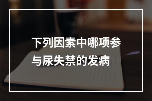 下列因素中哪项参与尿失禁的发病