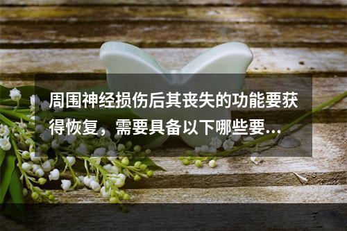 周围神经损伤后其丧失的功能要获得恢复，需要具备以下哪些要素(