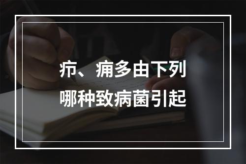 疖、痈多由下列哪种致病菌引起