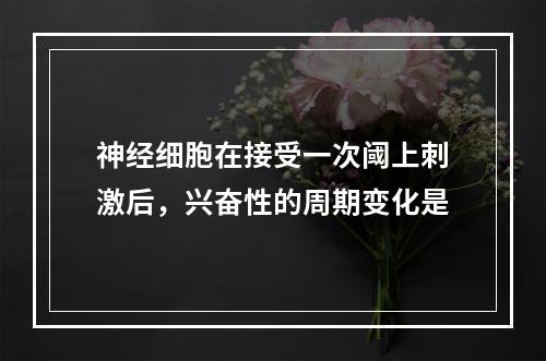 神经细胞在接受一次阈上刺激后，兴奋性的周期变化是