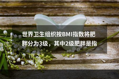 世界卫生组织按BMI指数将肥胖分为3级，其中2级肥胖是指