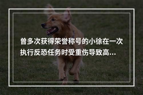 曾多次获得荣誉称号的小徐在一次执行反恐任务时受重伤导致高位截