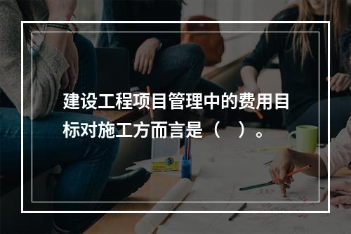 建设工程项目管理中的费用目标对施工方而言是（　）。