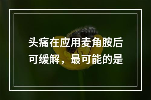 头痛在应用麦角胺后可缓解，最可能的是