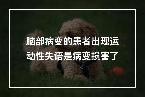 脑部病变的患者出现运动性失语是病变损害了