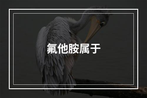 氟他胺属于