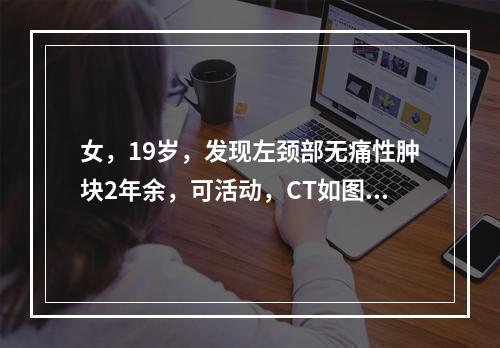 女，19岁，发现左颈部无痛性肿块2年余，可活动，CT如图所示