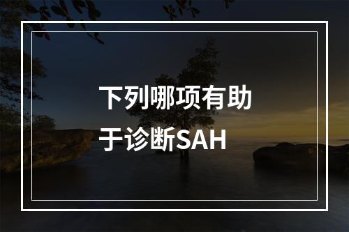 下列哪项有助于诊断SAH