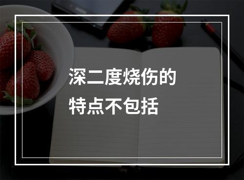 深二度烧伤的特点不包括