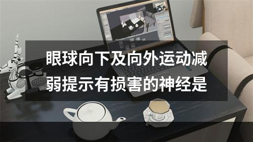 眼球向下及向外运动减弱提示有损害的神经是