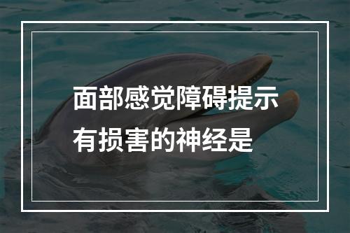 面部感觉障碍提示有损害的神经是