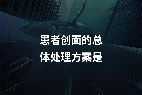 患者创面的总体处理方案是