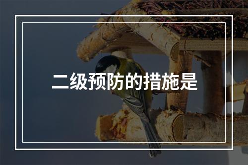 二级预防的措施是