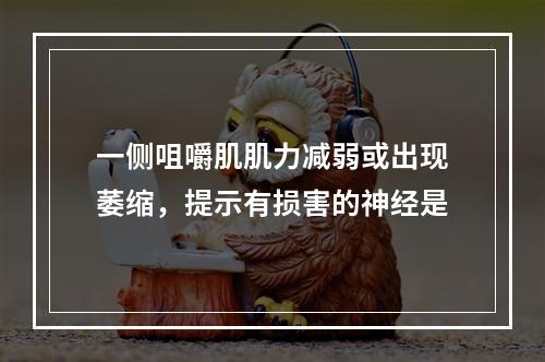 一侧咀嚼肌肌力减弱或出现萎缩，提示有损害的神经是