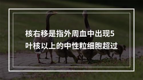 核右移是指外周血中出现5叶核以上的中性粒细胞超过