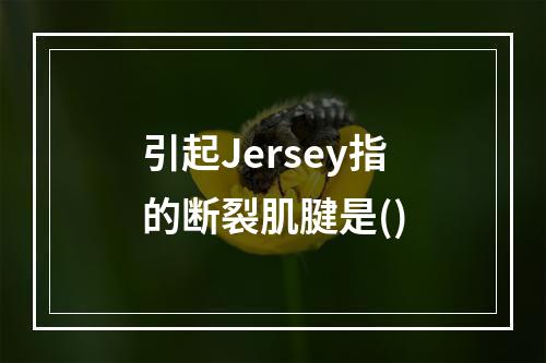 引起Jersey指的断裂肌腱是()