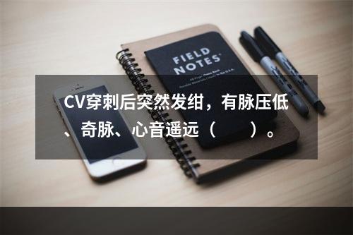 CV穿刺后突然发绀，有脉压低、奇脉、心音遥远（　　）。