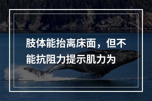 肢体能抬离床面，但不能抗阻力提示肌力为