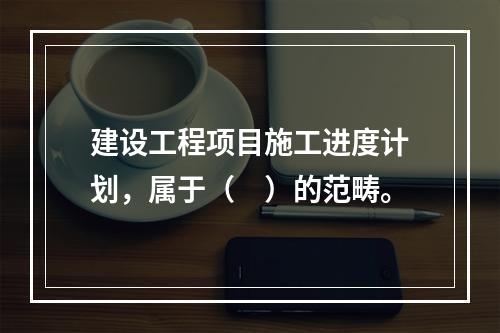 建设工程项目施工进度计划，属于（　）的范畴。