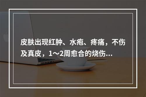 皮肤出现红肿、水疱、疼痛，不伤及真皮，1～2周愈合的烧伤属于