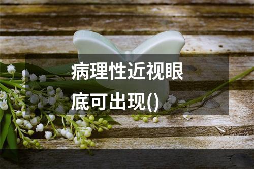 病理性近视眼底可出现()