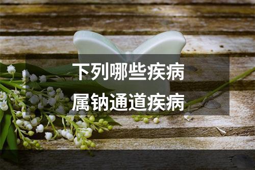 下列哪些疾病属钠通道疾病